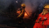 Kebakaran hutan tak hanya terjadi di Los Angeles, California, Amerika Serikat. Kebakaran hutan juga terjadi di Taman Nasional Nahuel Huapi Patagonia, Argentina.  
