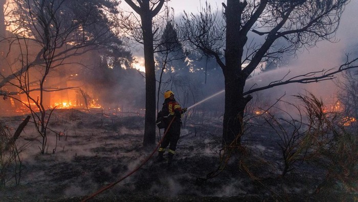 Tak Hanya Los Angeles, Patagonia Argentina Juga Dilanda Kebakaran Hutan A firefighter works to extinguish a wildfire in Epuyen, in the Patagonian region of Chubut, Argentina January 15, 2025. REUTERS/Matias Garay TPX IMAGES OF THE DAY