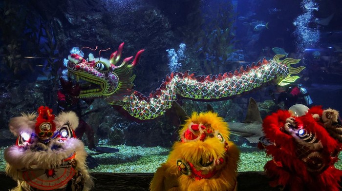Tarian Naga Bawah Laut Meriahkan Sambut Imlek di Bangkok Divers perform a dragon dance ahead of the Lunar New Year celebrations at the Sea Life Bangkok Ocean World aquarium in Bangkok, Thailand, January 16, 2025. REUTERS/Chalinee Thirasupa TPX IMAGES OF THE DAY