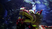 Empat penyelam menampilkan tarian tersebut di akuarium Sea Life Bangkok Ocean World yang dikelilingi oleh hiu dan ikan lainnya, menawarkan tontonan unik untuk menyambut Tahun Ular.