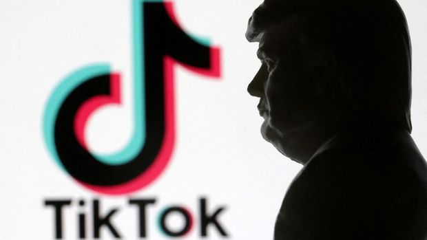 TikTok. (REUTERS/Dado Ruvic/Illustration/File Photo)