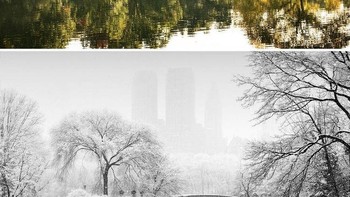 Central Park, New York, Amerika Serikat. (Foto: Boredpanda)