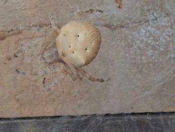 Hal Unik yang Terabadikan Kamera, Perlu Lihat Dua Kali untuk Menyadarinya