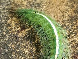 Hal Unik yang Terabadikan Kamera, Perlu Lihat Dua Kali untuk Menyadarinya