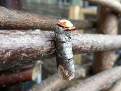 Hal Unik yang Terabadikan Kamera, Perlu Lihat Dua Kali untuk Menyadarinya