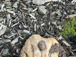 Hal Unik yang Terabadikan Kamera, Perlu Lihat Dua Kali untuk Menyadarinya