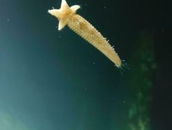 Hal Unik yang Terabadikan Kamera, Perlu Lihat Dua Kali untuk Menyadarinya