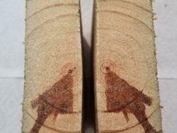 Hal Unik yang Terabadikan Kamera, Perlu Lihat Dua Kali untuk Menyadarinya