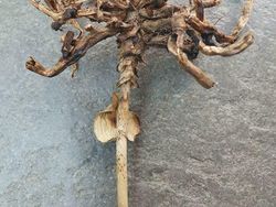 Hal Unik yang Terabadikan Kamera, Perlu Lihat Dua Kali untuk Menyadarinya