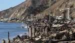 Jejak Kehancuran di Malibu California Akibat Kebakaran Hutan