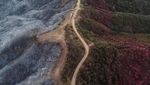 Kala Jalan Jadi Pemisah Kebakaran Hutan di Los Angeles