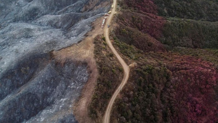 Kebakaran telah melanda hutan di Los Angeles, California, Amerika Serikat. Di salah satu titik, kebakaran tidak bisa merembet karena terhalang oleh jalan.
