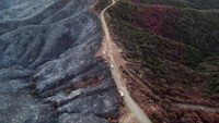 Sebuah jalan menjadi pemisah kebakaran hutan di Los Angeles. Tampak hutan di sisi kiri jalan telah hangus terbakar. Sementara hutan yang berada di sisi kanan masih terlihat hijau.