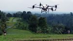 Petani di Bali Belajar Pakai Drone buat Bertani