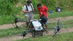 Petani di Bali Belajar Pakai Drone buat Bertani