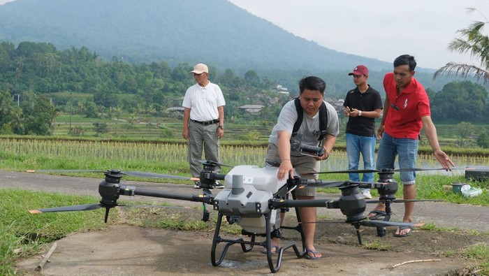 Latihan penggunaan drone untuk bertani di Bali Warga memasukkan pupuk cair ke dalam tangki drone atau pesawat udara tanpa awak di lahan persawahan Desa Jatiluwih, Tabanan, Bali, Jumat (17/1/2025). Latihan penggunaan drone pertanian tersebut diikuti empat pemuda sebagai pilot drone untuk membantu para petani saat melakukan pemupukan sehingga hemat waktu dalam bertani serta upaya menciptakan pertanian organik di desa itu. ANTARA FOTO/Nyoman Hendra Wibowo/nym.