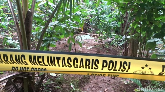 Lokasi penemuan mayat bapak dan anak di kebun kopi di Desa Masaran Kecamatan Bawang, Banjarnegara dipasang garis polisi. Diunggah Jumat (17/1/2025).