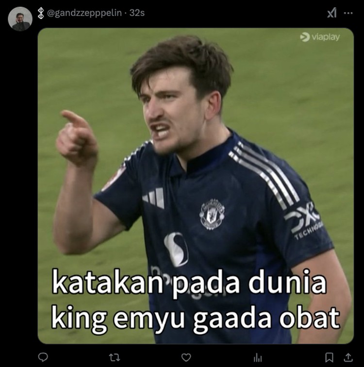 Meme King Emyu Menyala Meme King Emyu Menyala