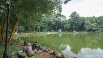 Menyusuri Desa Wisata Situ Jatijajar Depok