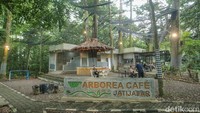 Ada juga cafe untuk bersantai yang bikin pengunjung makin betah.