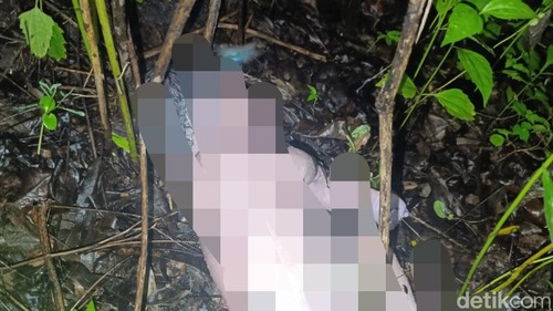 Penemuan mayat bayi dalam hutan di Kupang, Jumat (17/1/2025).