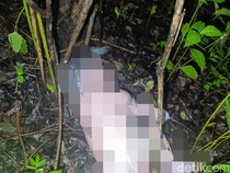 Mayat Bayi Ditemukan dalam Hutan di Kupang