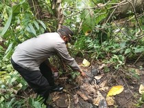Warga Purbalingga Temukan Tengkorak Manusia Saat Berburu Biawak di Sungai
