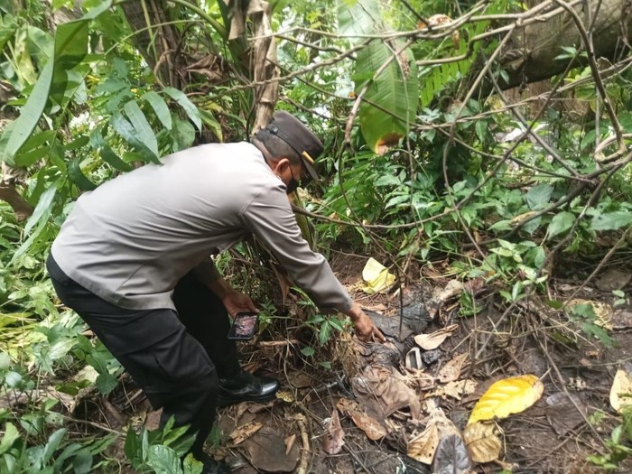 Petugas kepolisian melakukan olah TKP ditemukannya tengkorak manusia di tepi Sungai Tunggal, Desa Selabaya, Kecamatan Kalimanah, Kabupaten Purbalingga, Jumat (17/1/2025).