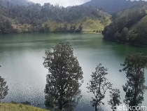 Pendakian Semeru Ditutup, Rombongan Pendaki Beralih ke Ranu Regulo