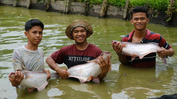PT Pertamina Hulu Rokan (PHR) turut andil dalam mengembangkan potensi lokal guna menggerakkan ekonomi masyarakat di sejumlah desa sekitar daerah operasi. (dok Istimewa)