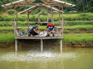 Jurus PHR Tingkatkan Ekonomi Masyarakat Lewat Desa Wisata