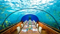 Ithaa Undersea Restaurant di Maldives, cocok untuk foodies yang pecinta ikan. Berada di bawah kedalaman laut banyak jenis ikan unik yang akan berlalu lalang menemani waktu makan. Foto: Travel + Leisure