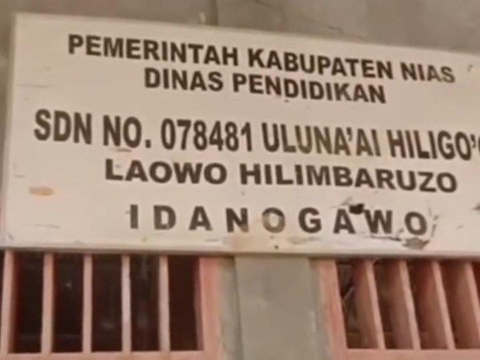 SDN nomor 078481 Ulunaai Hiligoo Hilimbarozu di Nias yang viral karena disebut 1 bulan tidak ada guru (Dok. Istimewa)