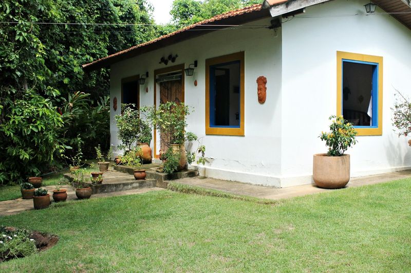 Taman depan rumah sederhana dan minimalis.