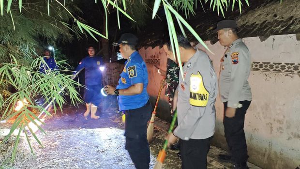 Proses evakuasi sarang tawon vespa yang menyengat bocah SD di Tayu, Pati, Kamis (16/1/2025).
