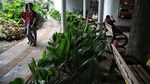 Penampakan Tebet Eco Park yang Dipagari gegara Perburuan Liar Koin Jagat