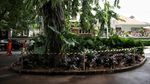 Penampakan Tebet Eco Park yang Dipagari gegara Perburuan Liar Koin Jagat