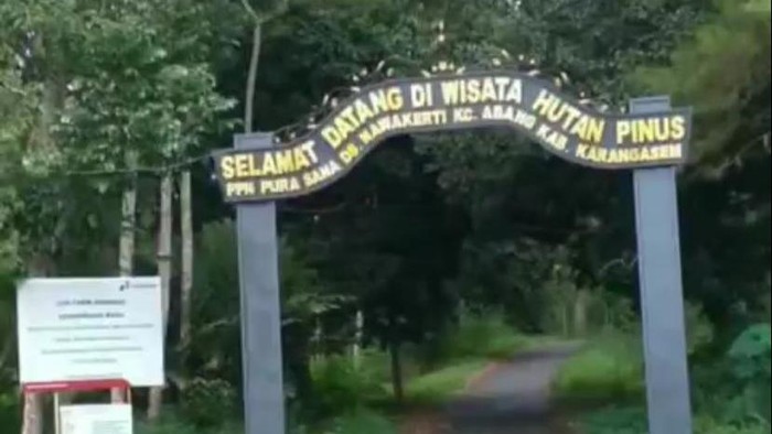 Tempat wisata Hutan Pinus Pidpid Desa Nawakerti, Kecamatan Abang, Karangasem, Bali. (Ni Komang Nartini/detikBali)