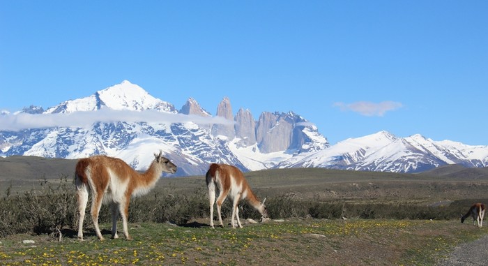 The Torres del Paine Circuit di Chile The Torres del Paine Circuit di Chile