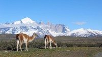 Torres del Paine Circuit adalah jalur pendakian terbaik bagi para fotografer.Jarak: 136 kmDurasi: 9 hariTingkat: SulitBanyak pengunjung Taman Nasional Torres del Paine di Chile yang merasa tidak sanggup saat melihat jauhnya medan yang harus dilalui dan memilih W Trek yang lebih pendek.Tapi kami sarankan untuk mengikuti rangkaian O Trek selama 9 hari penuh untuk menikmati berbagai macam bentang alam di cagar alam yang luar biasa ini. Saat Anda mengikuti jalur dari Las Torres, Anda akan melewati beberapa pemandangan paling fotogenik di dunia: sungai sejernih kristal, pegunungan, padang rumput terbuka, hutan yang ditumbuhi pohon-pohon tua, danau yang dalam dan sunyi, serta lidah es Gletser Grey. (denomades)