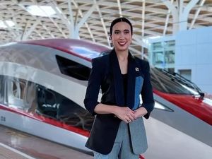 7 Mobil di Garasi Menteri Widiyanti yang Hartanya Rp 5,4 T: Termurah Toyota Vellfire