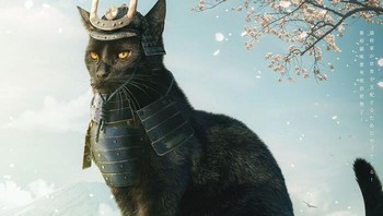 Wah kalau kayak gini sih tikus benar-benar nggak berani masuk rumah. Foto: (xiang_0718).