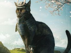 Begini Kalau Kucing Lebih Besar dari Manusia, Masih Berani Elus?