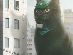 Begini Kalau Kucing Lebih Besar dari Manusia, Masih Berani Elus?