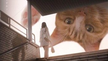 Ciluk baaaa. Foto: (xiang_0718).