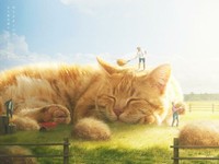 Bagaimana jadinya kalau kucing punya tubuh yang lebih besar dari manusia. Nah kurang lebih gambarannya seperti karya seniman digital dari Taiwan, xiang_0718.