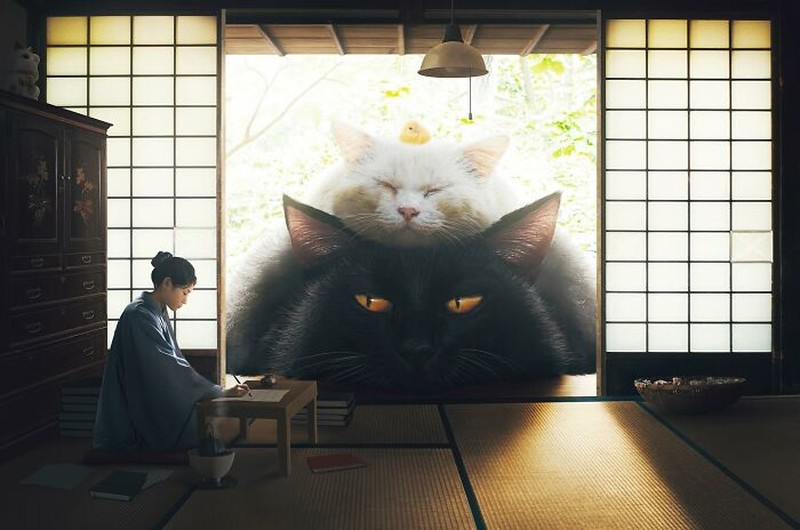 Bagaimana jadinya kalau kucing punya tubuh yang lebih besar dari manusia. Nah kurang lebih gambarannya seperti karya seniman digital dari Taiwan, xiang_0718.