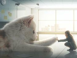 Begini Kalau Kucing Lebih Besar dari Manusia, Masih Berani Elus?