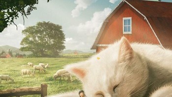 Ngantuk banget kayaknya cing. Foto: (xiang_0718).