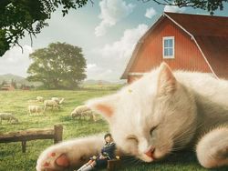 Begini Kalau Kucing Lebih Besar dari Manusia, Masih Berani Elus?